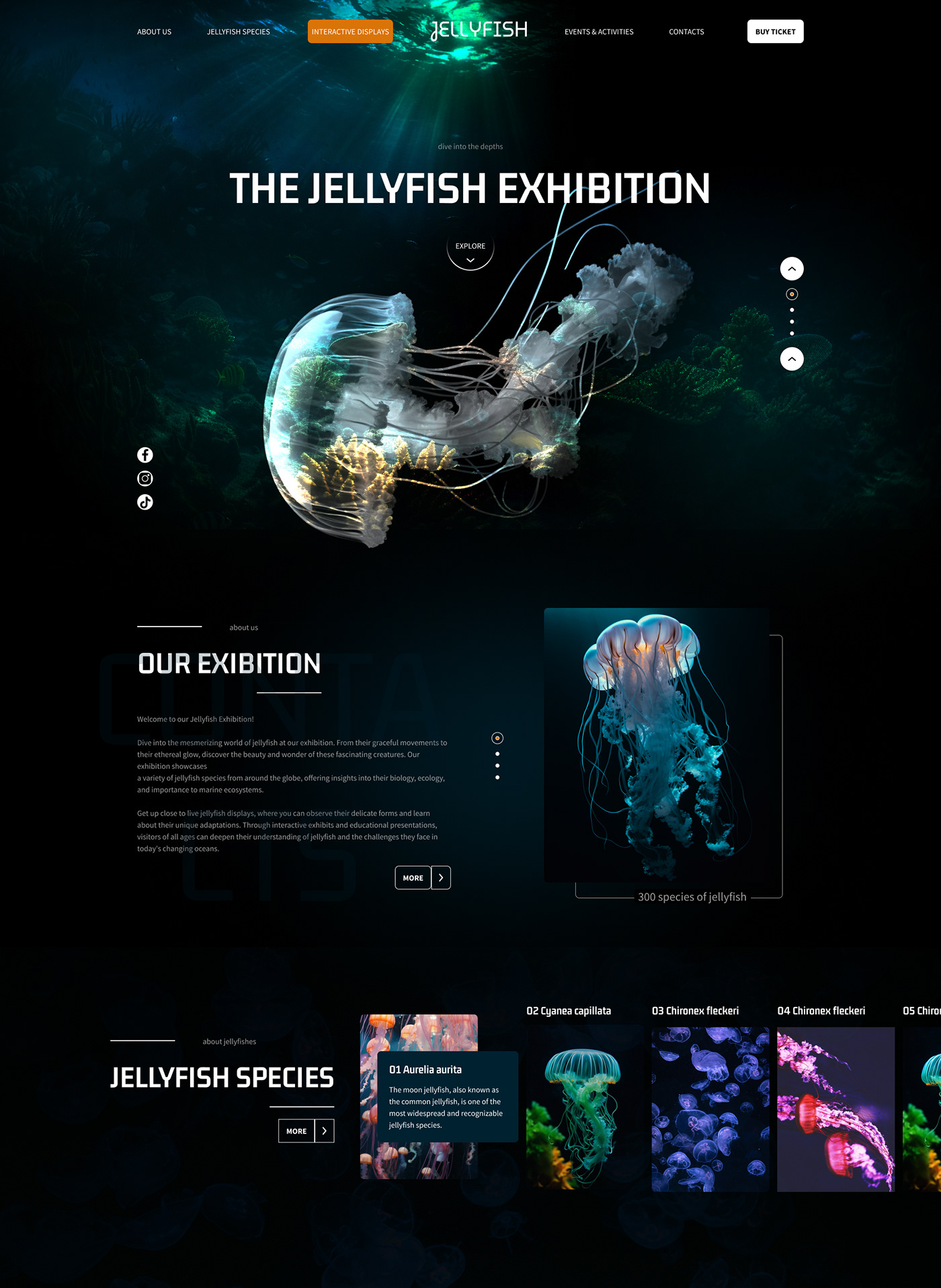 ui ux website design jelly fish UX design figma design Landind Page sea visualization modern aqurium jelyfish