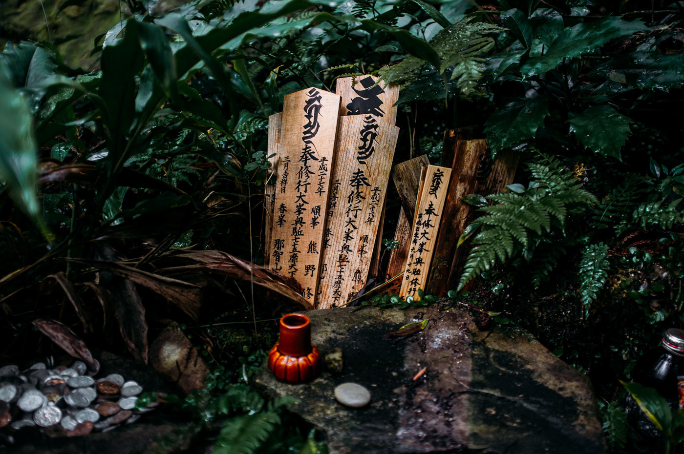 japan mood Nature religion Travel Photography 