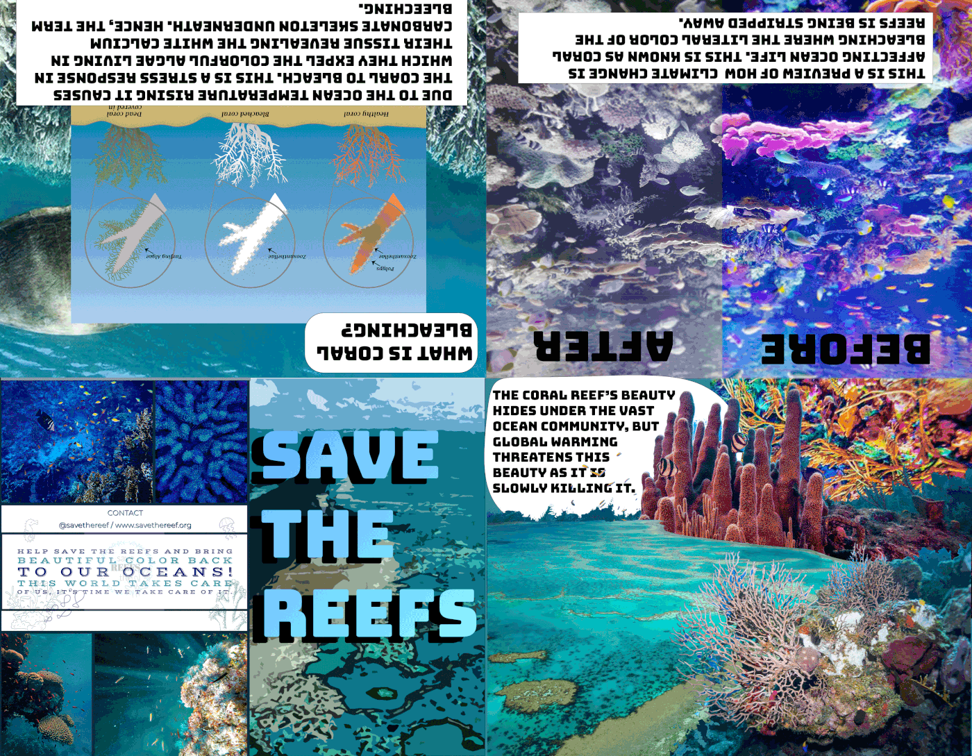 photoshop Ocean global warming climate change Nature beauty coral oceanlife reefs