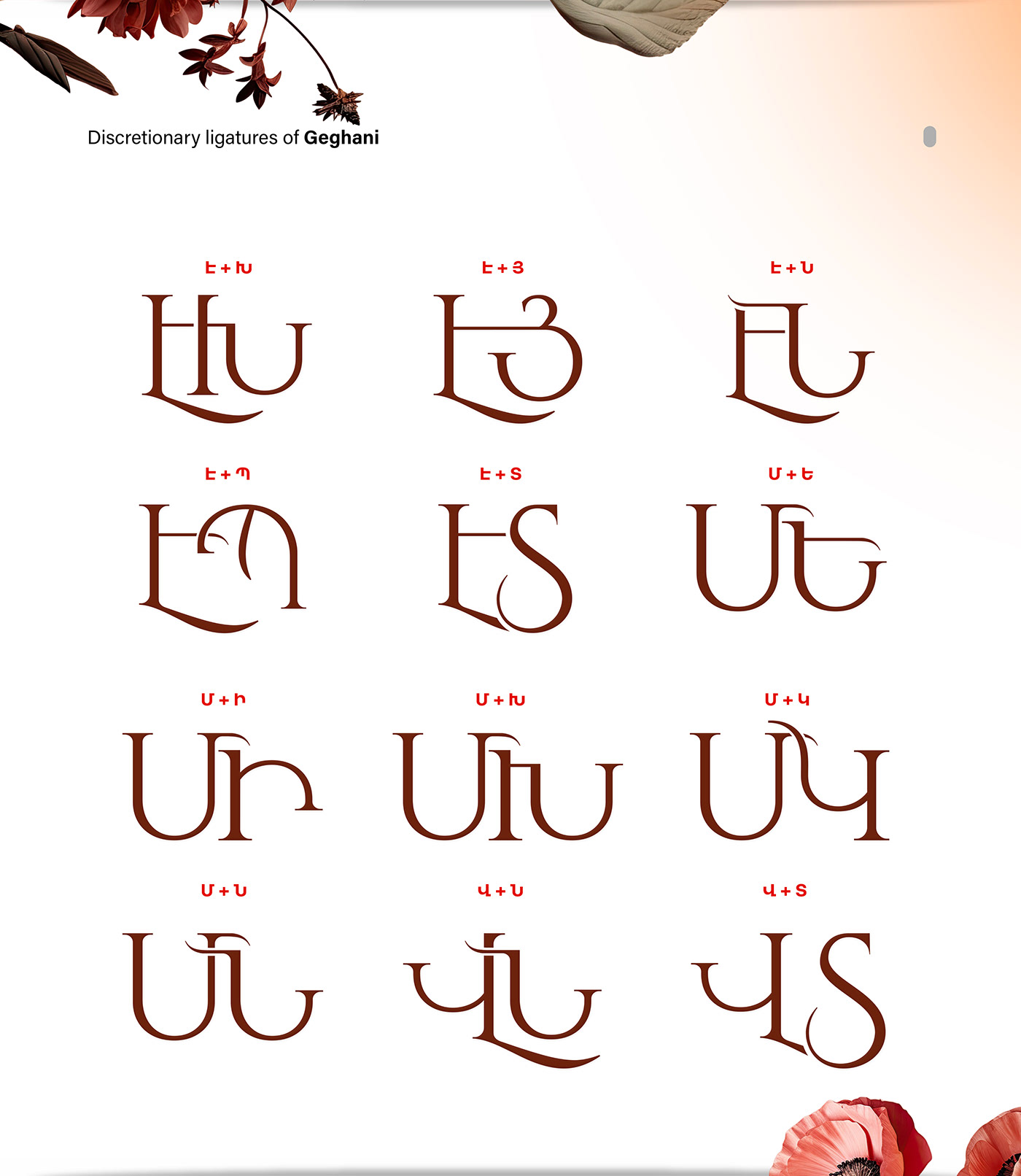 Armenia Armenian font elegant Fashion  serif type typography   Typeface font lettering