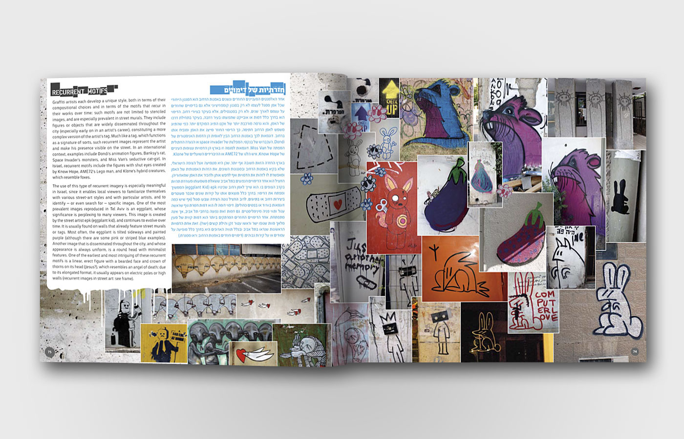 graphic design  Street Art  book design grid Layout print