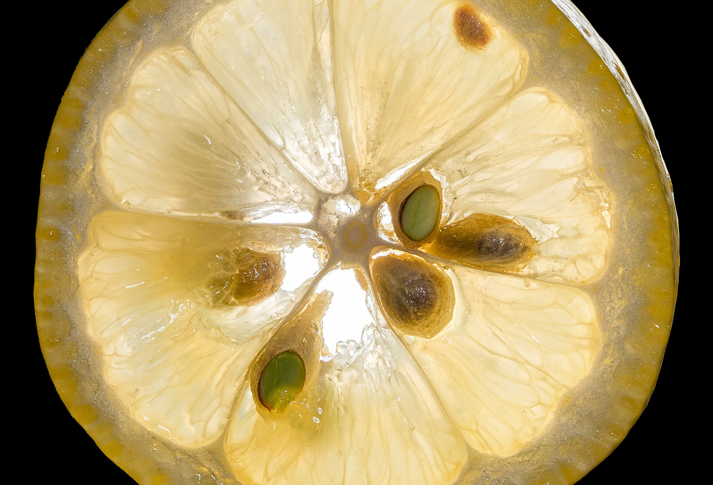 closeup Fruit macro Photography  seed vegetable water