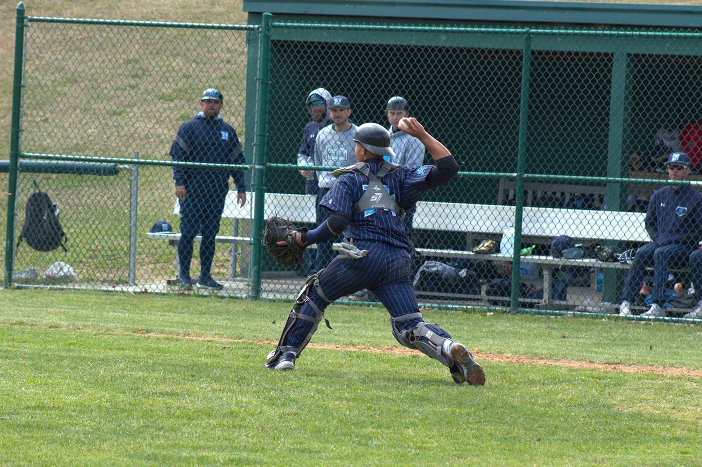 baseball sports sports photography maryland Baseball Photography Canon Photography Cecil County Maryland Photographer