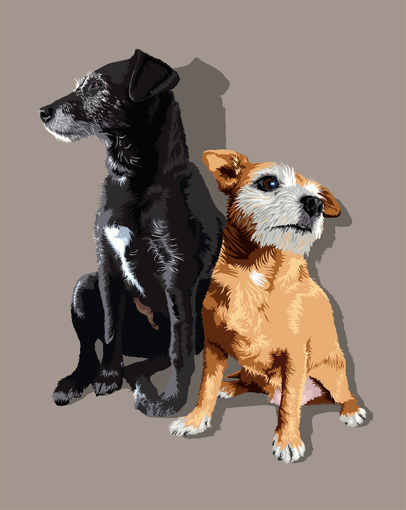 digital ILLUSTRATION  Drawing  dogs dog