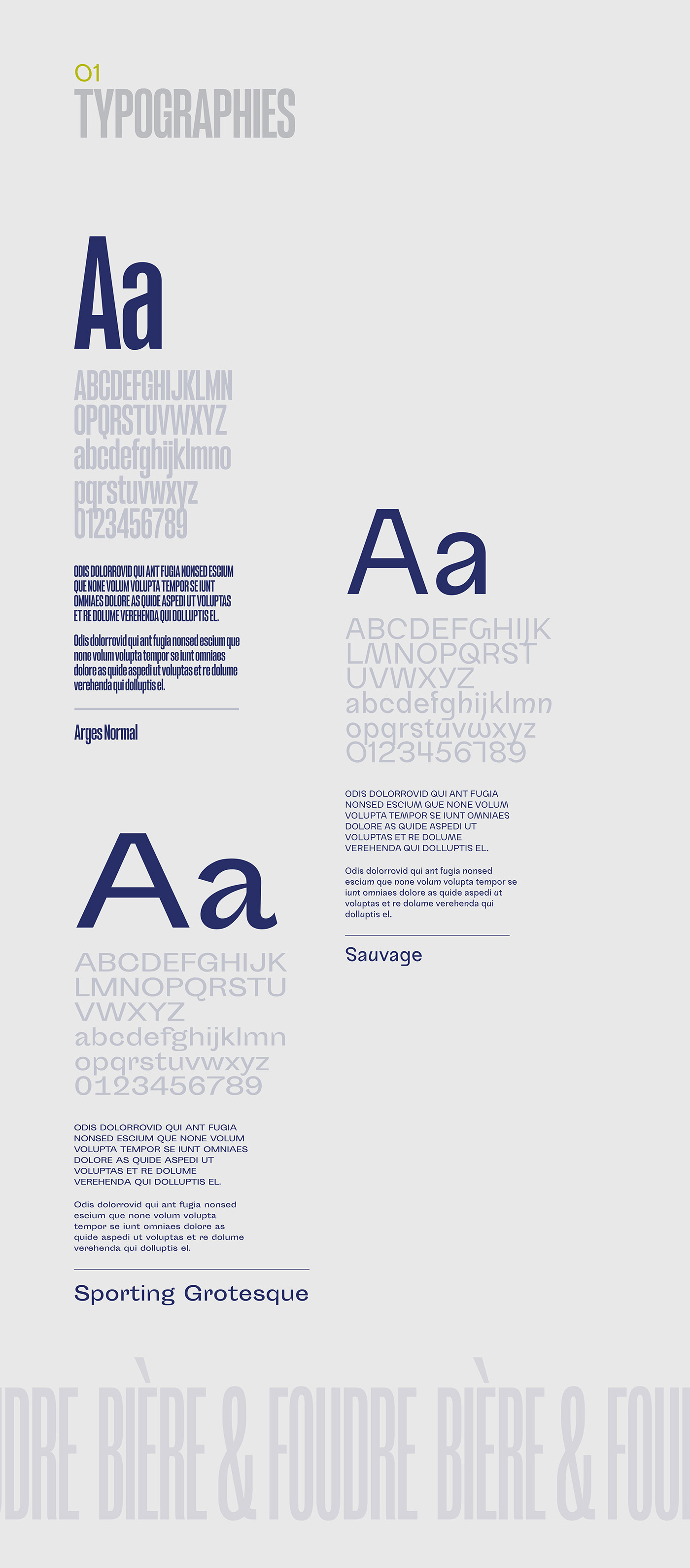 typographies utilisées pour le site