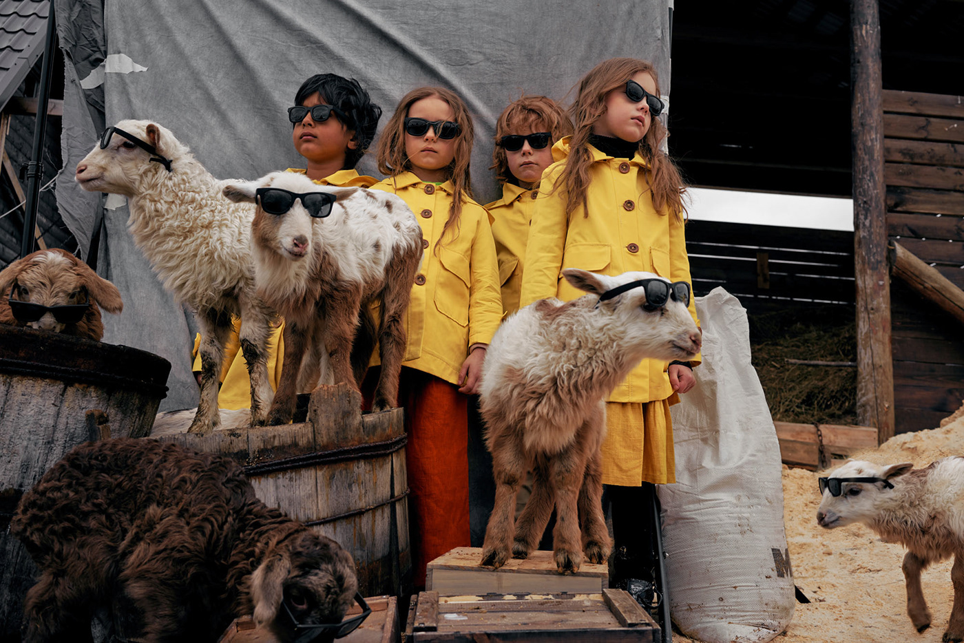 goat yellow raincoat kids Fashion  isnovikov glasses editorial farm animals