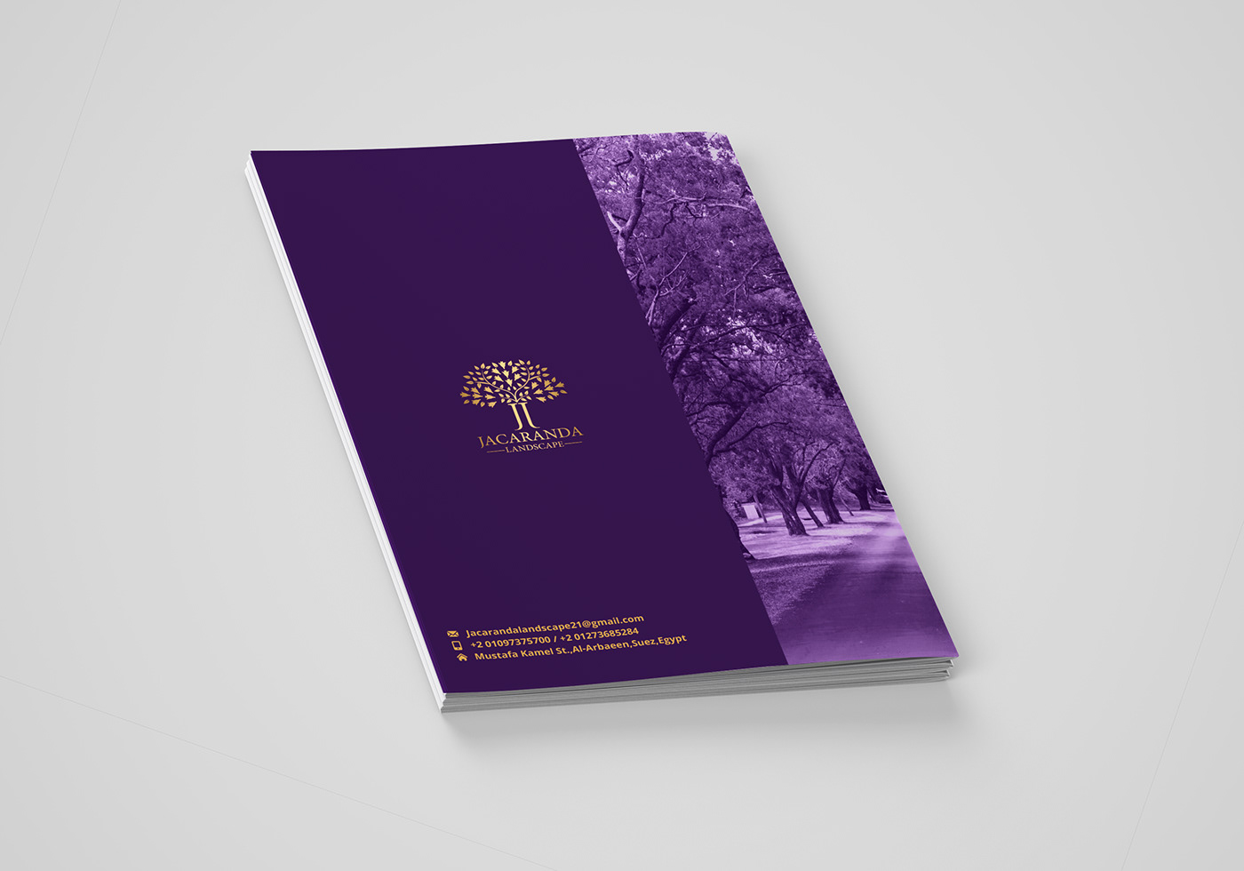 art direction  branding  brochure company profile creative Jacaranda Landscape monogram presentation Printing