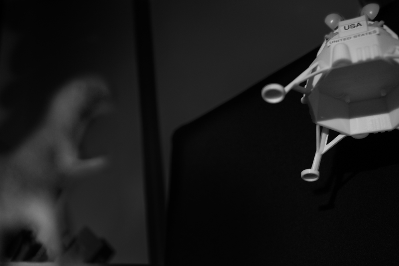 MINI toy astronaut Dinosaur cave man photo black and white