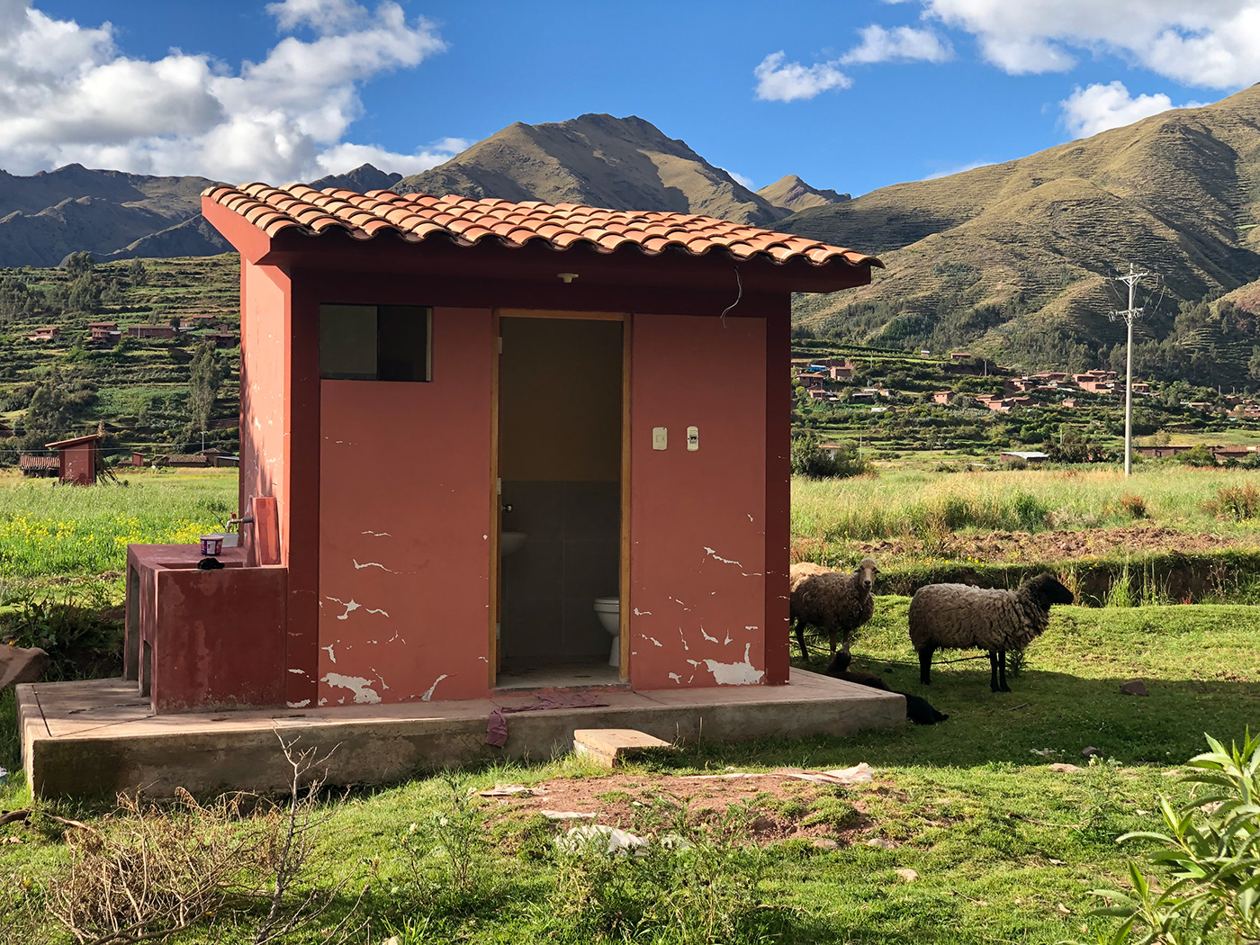 peru village cusco Andes dog