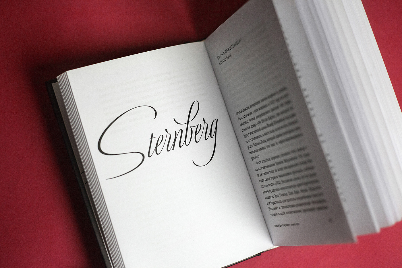 book cover book design cover design cover designs lettering letterka OLGA KOVALENKO Script typography   typography design