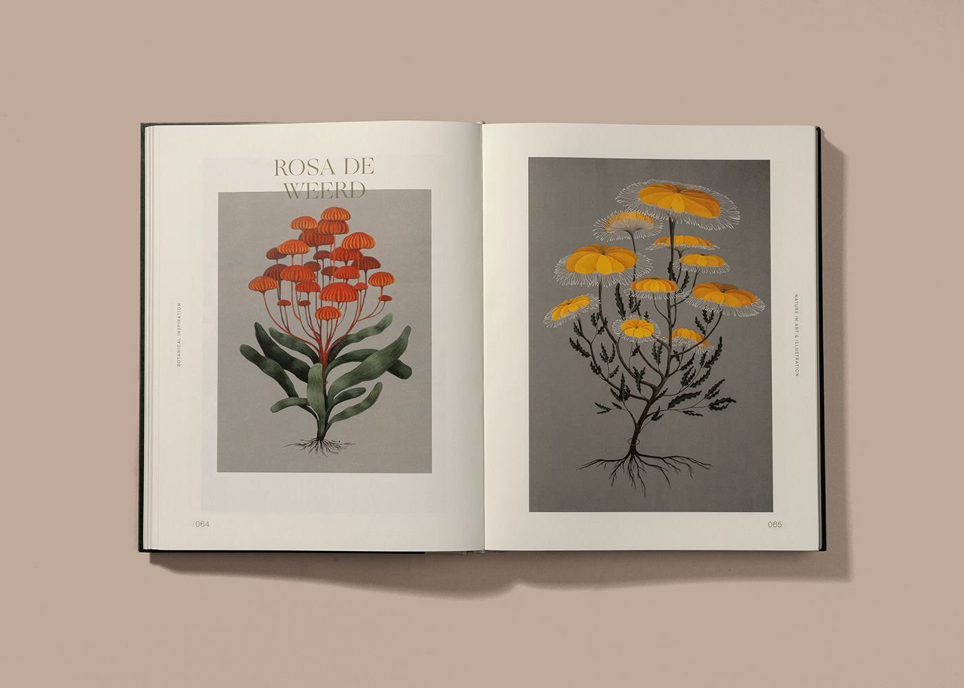 botanical ILLUSTRATION  inspiration Nature planet art Flora book design books plants