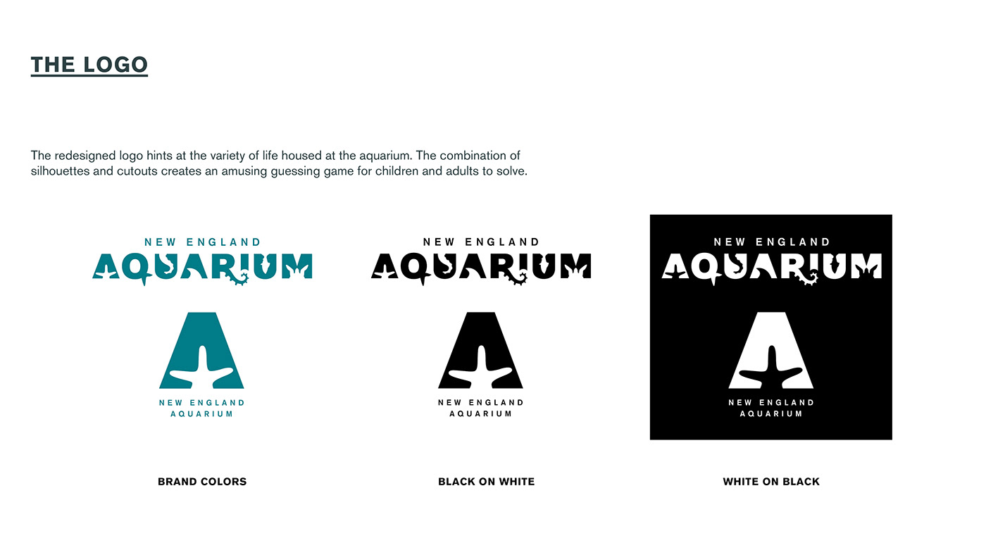 branding  Rebrand aquarium science marine biology Advertising  adobeawards brochure logo visual identity