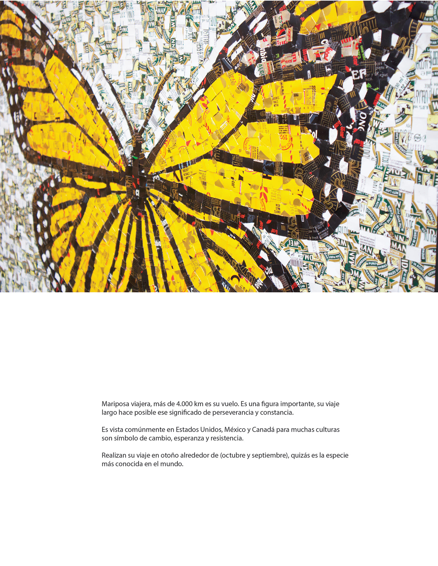 arte butterfly color designer Digital Art  geometric ilustracion ilustración digital ilustration mosaic