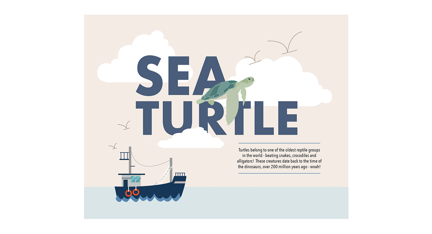 SeaTurtle infographic poster