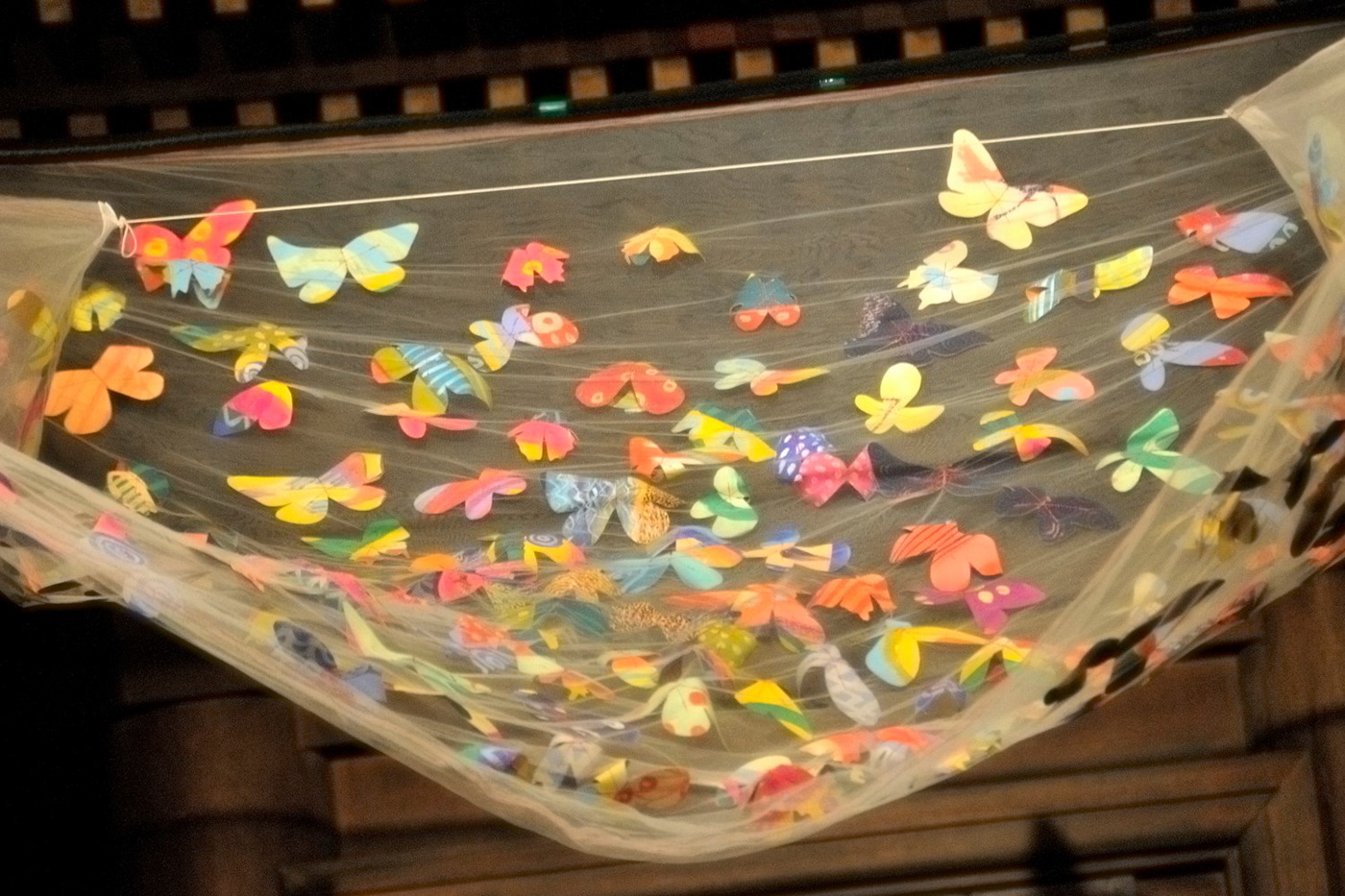 scenography of a concert, with butterflies of light and shadow