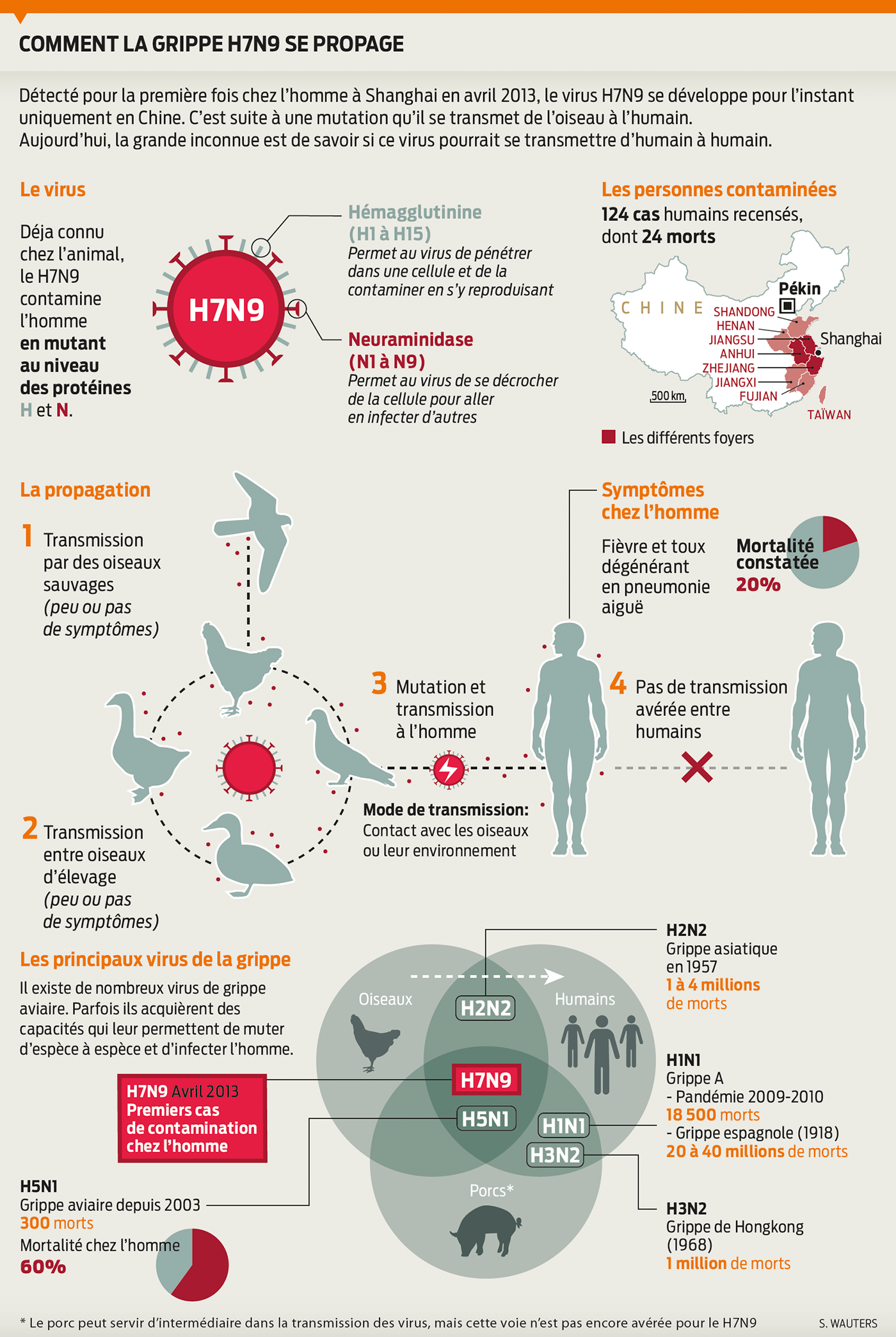 Infographie graphique infographic infographics maps graphic Charts graphics Data visualisation information design flu H7N9 Avian Flu grippe avaire