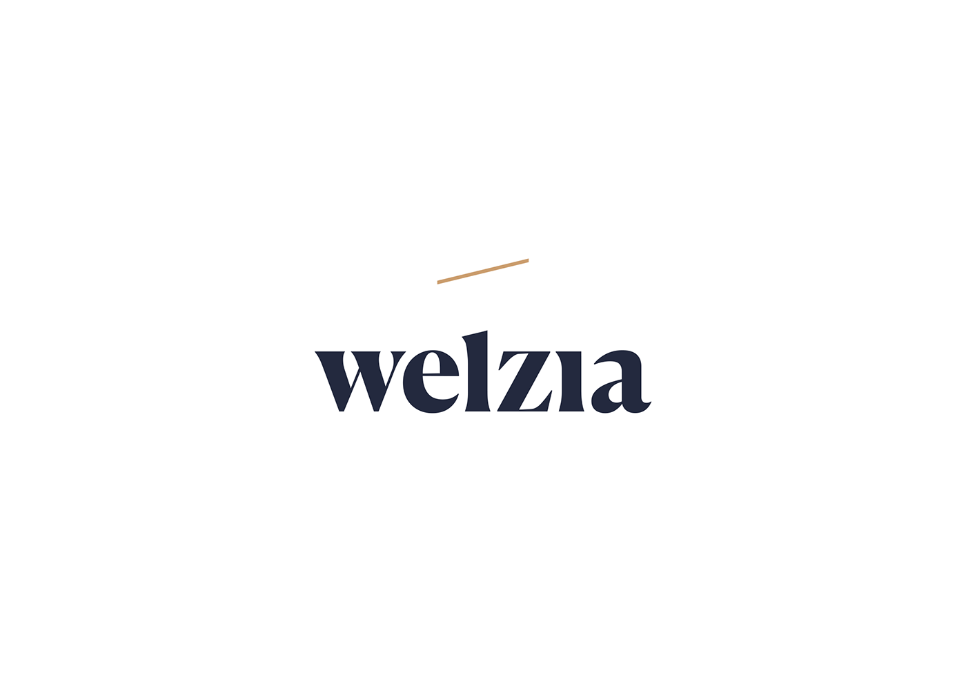 Web branding  finances serif logo canela