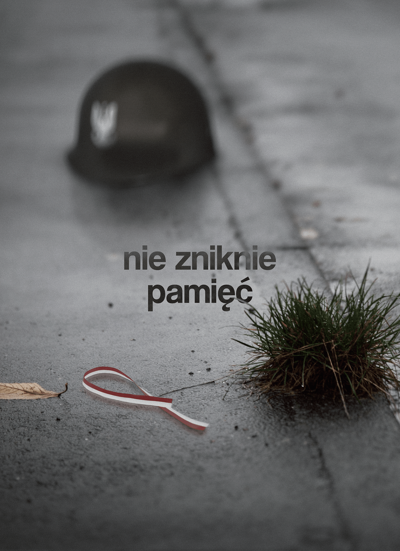 dzien pamieci poland polska Polish flag Helmet rain