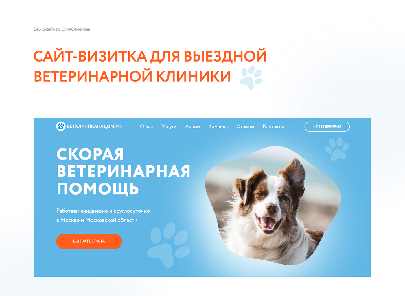 doctor hospital medicine tilda tilda publishing veterinary Ветеринар ветеринарная ветеринарная клиника животные