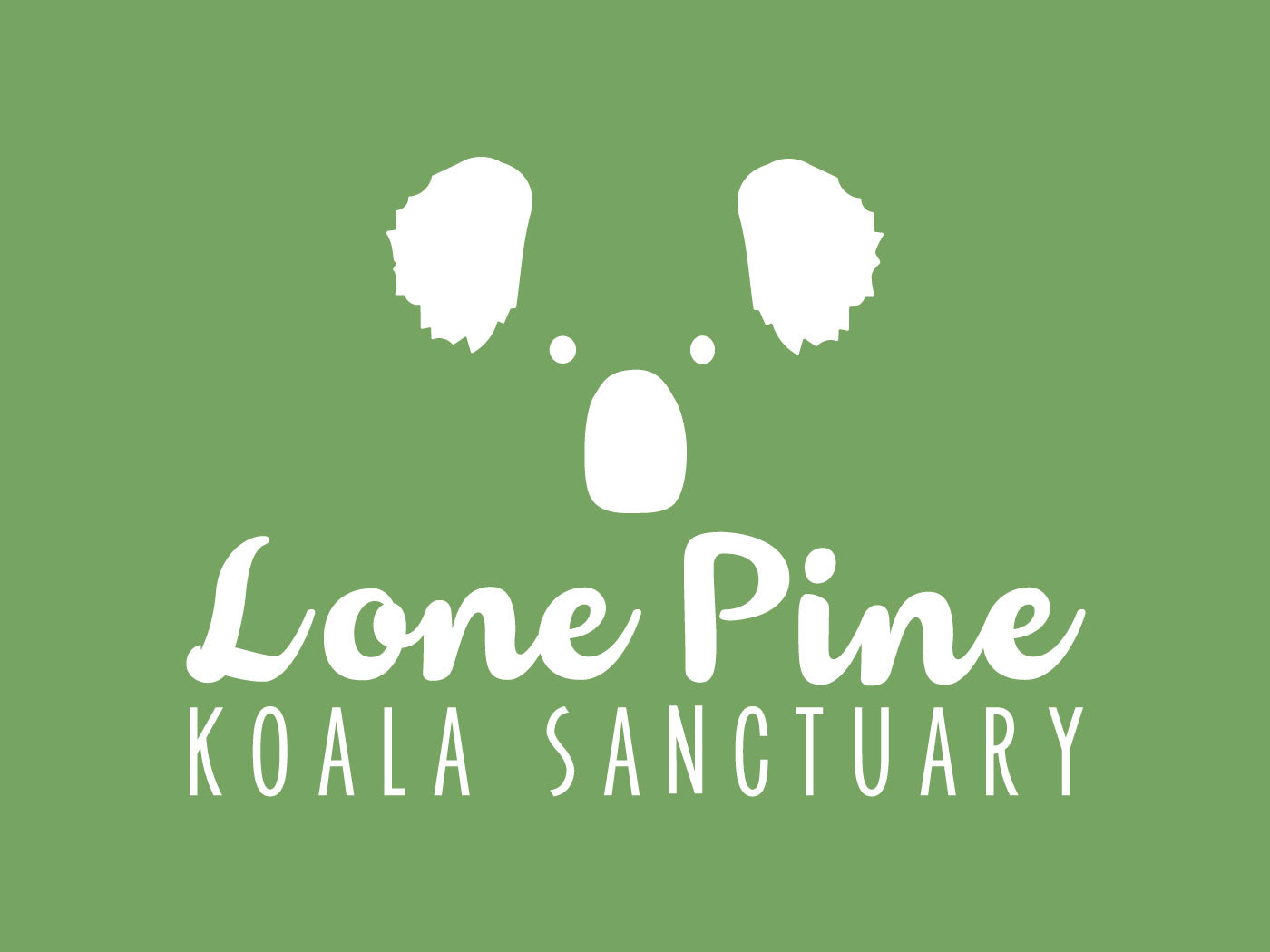 graphic design  logo Logo Design Icon typography   design color koala animal fun logo
