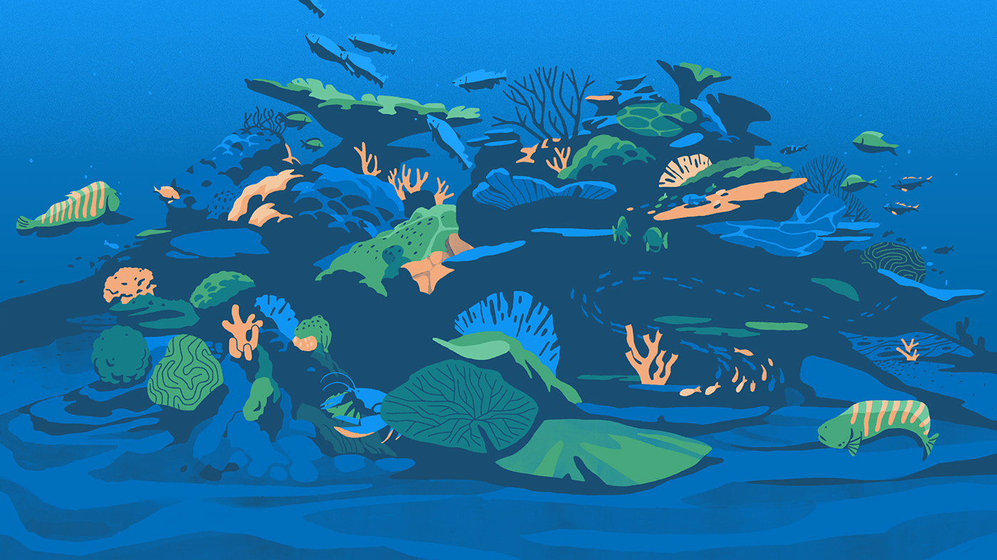 animation  climate change conservation ILLUSTRATION  motiondesign Ocean