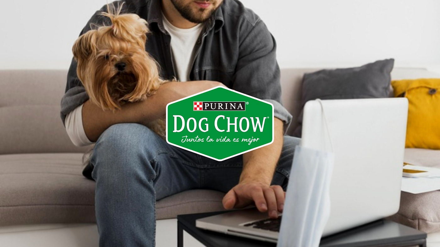 Advertising  brands dog dog chow graphic design  Invitation mailing marketing   Pet photoshop