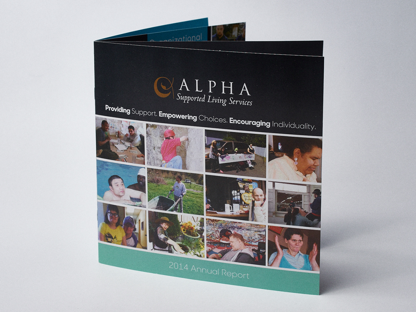 annual report Booklet design