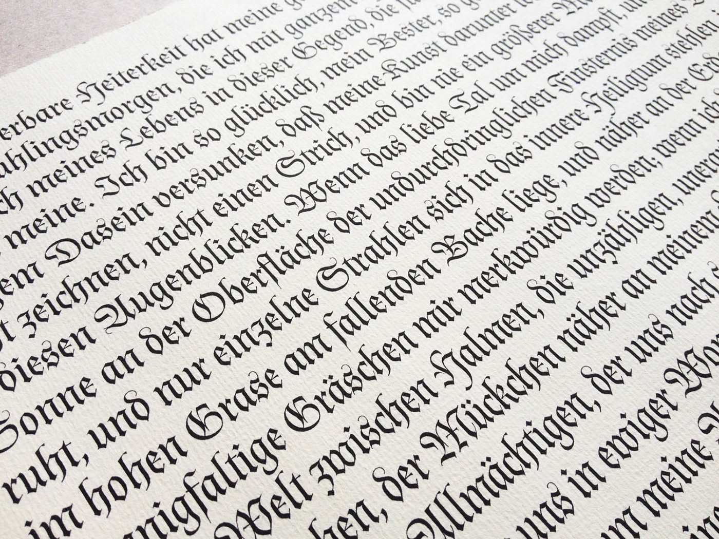 typedesign fontdesign typography   calligraphic Fraktur Blackletter ornamental Rennaissance swashletters font