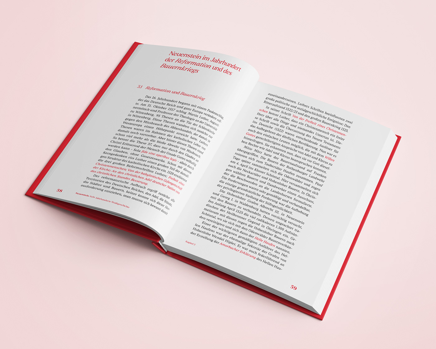 book graphicdesign typography   editorial design  InDesign