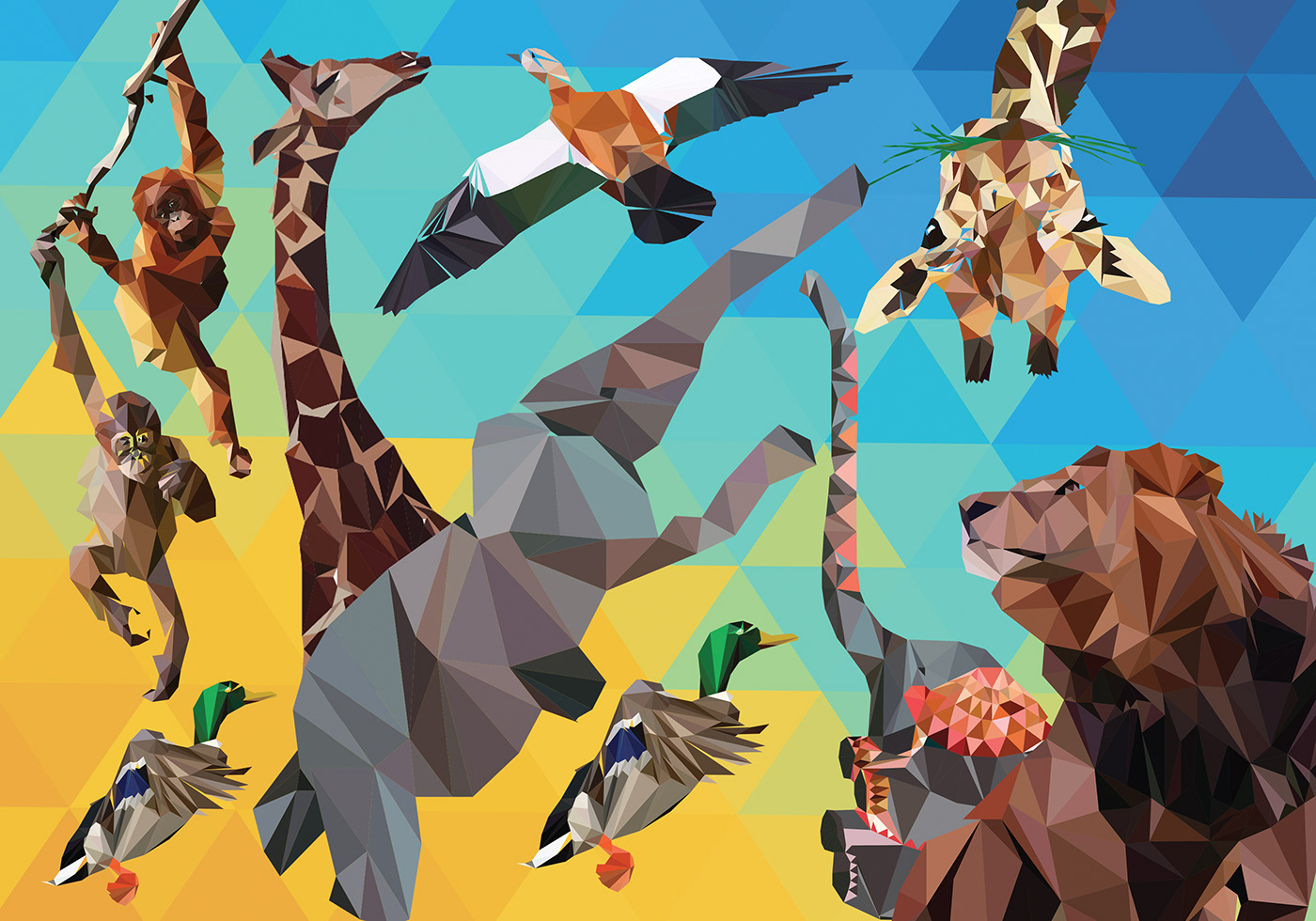 zoo-geometric-illustration-animals- story-grid-photography-alexandria