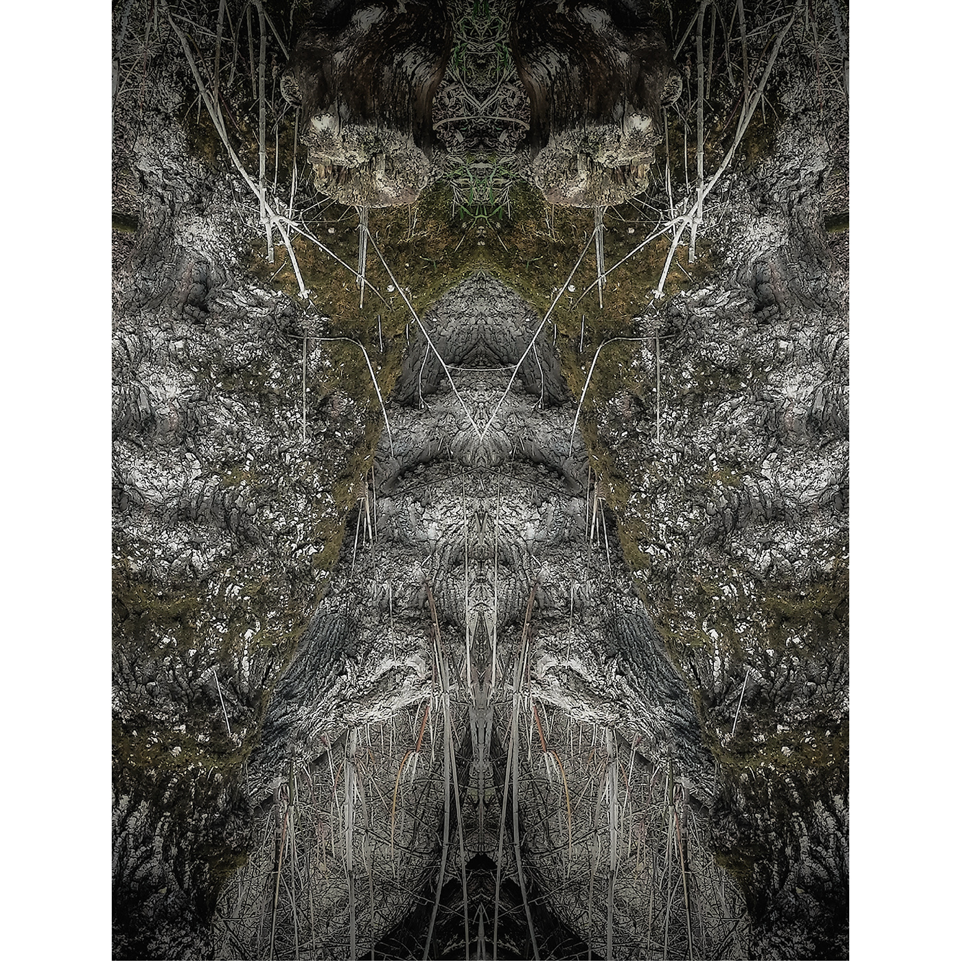 Хэния Велес Геката ioki Nature Mystic spirit shamanic forest Metamorphosis Transformation Tree  dark darkart darkness pagan Иоки один