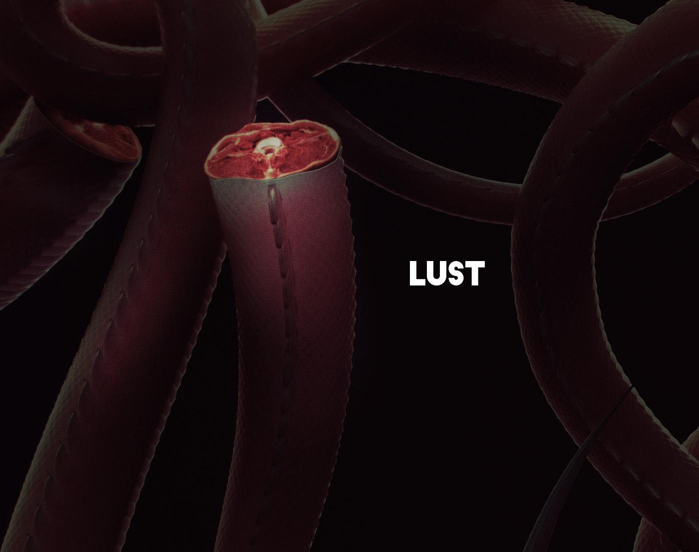 lust sexy meat type 3D Type tentacle