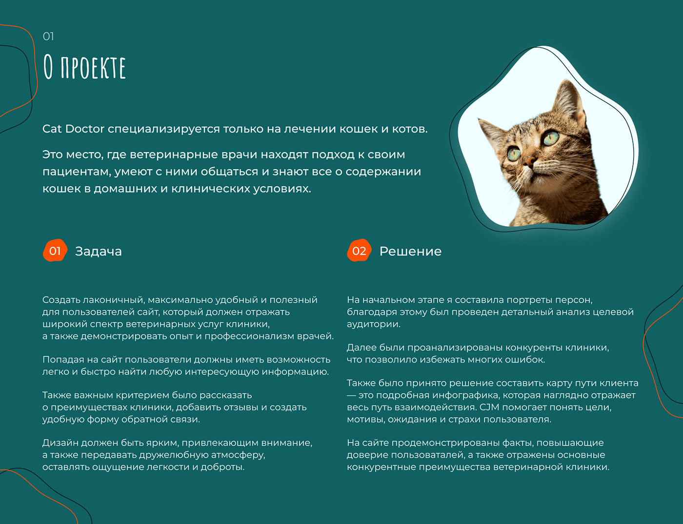 animals Cat clinic design Health Pet site UI/UX veterinary ветеринарная клиника