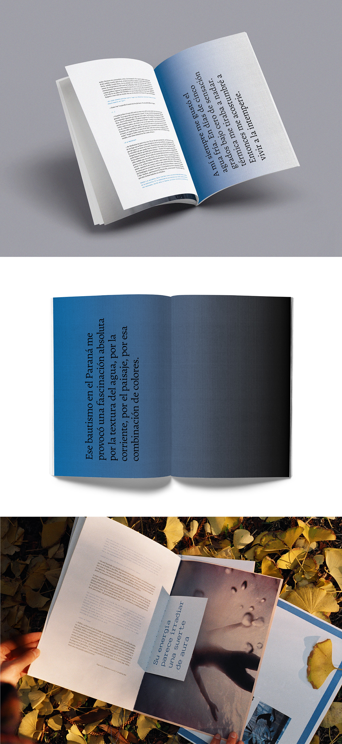 editorial fadu catedra manela Collection Layout print fasciculos art direction  magazine typography  
