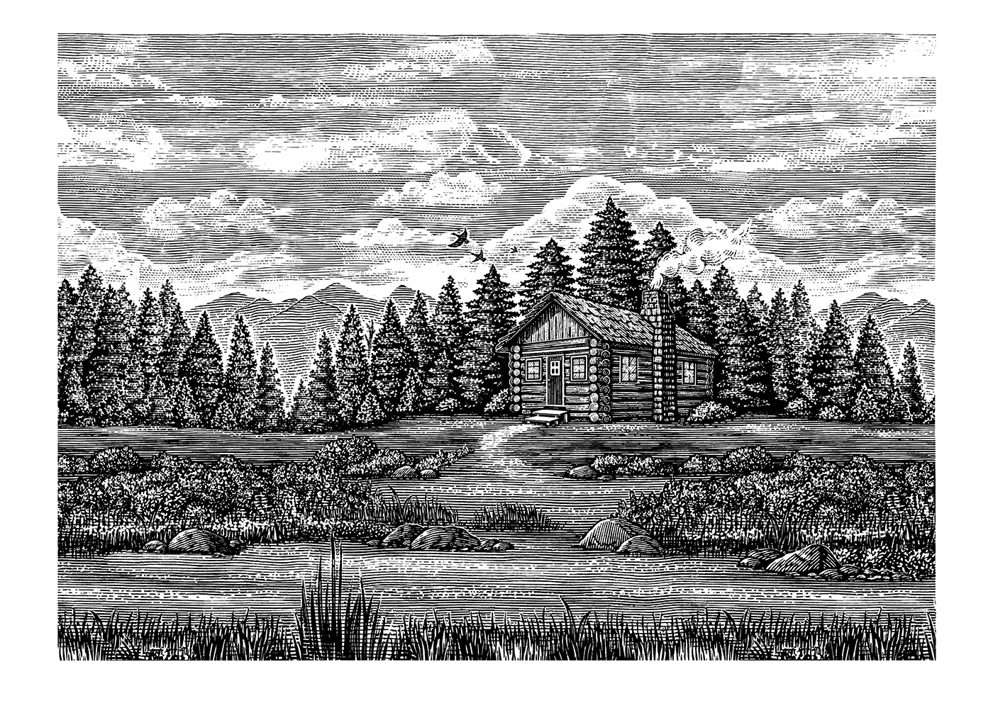Steven Noble woodcut ILLUSTRATION  etching line art pen and ink artwork Drawing  Whiskey Packaging