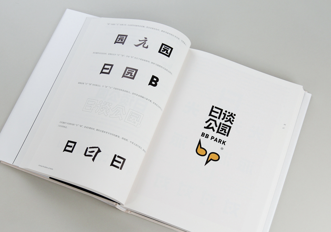 book branding  cover Layout logo logofolio Logotype print text 字体设计