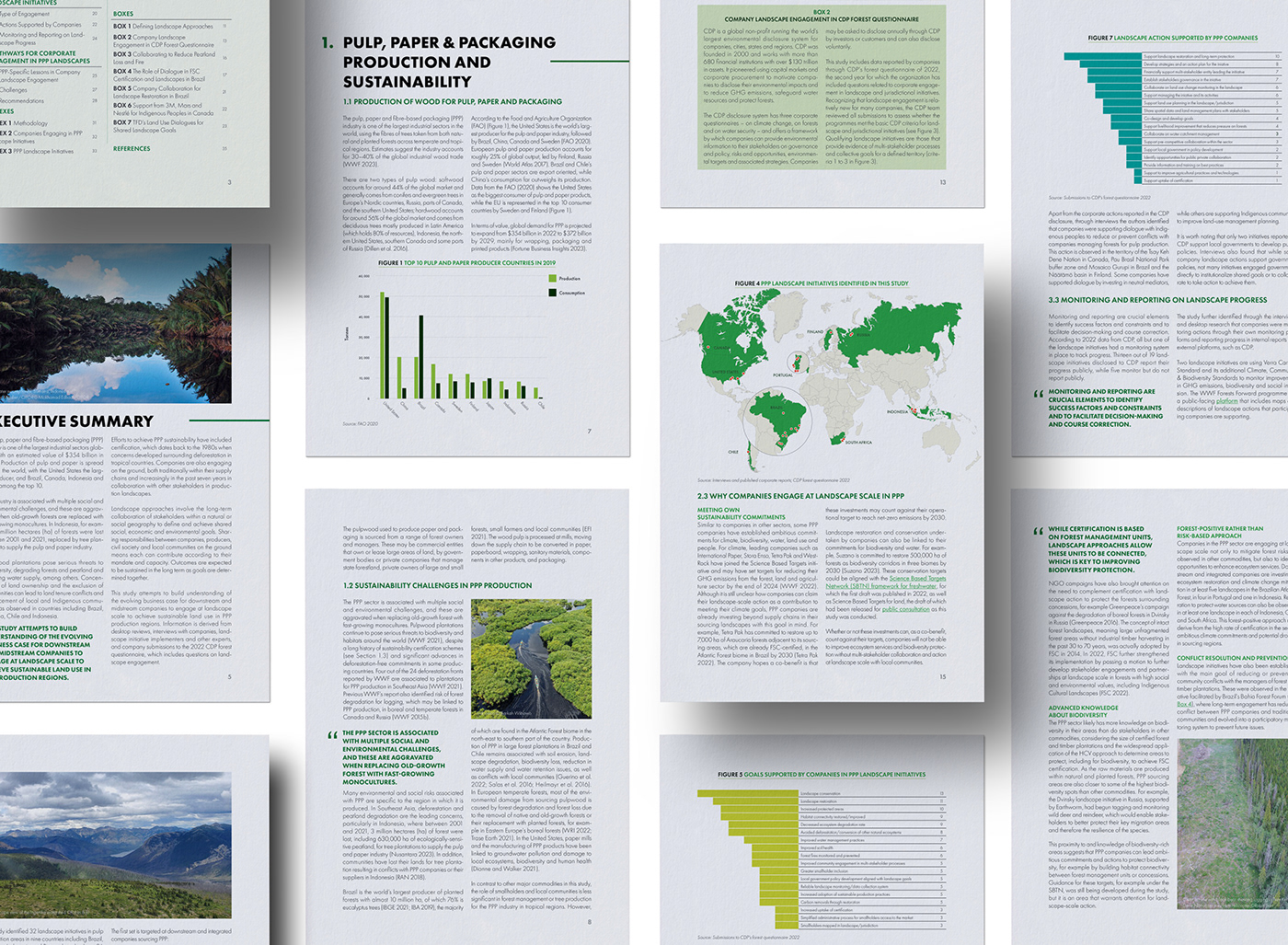 editorial design  graphic design  report design information design Layout