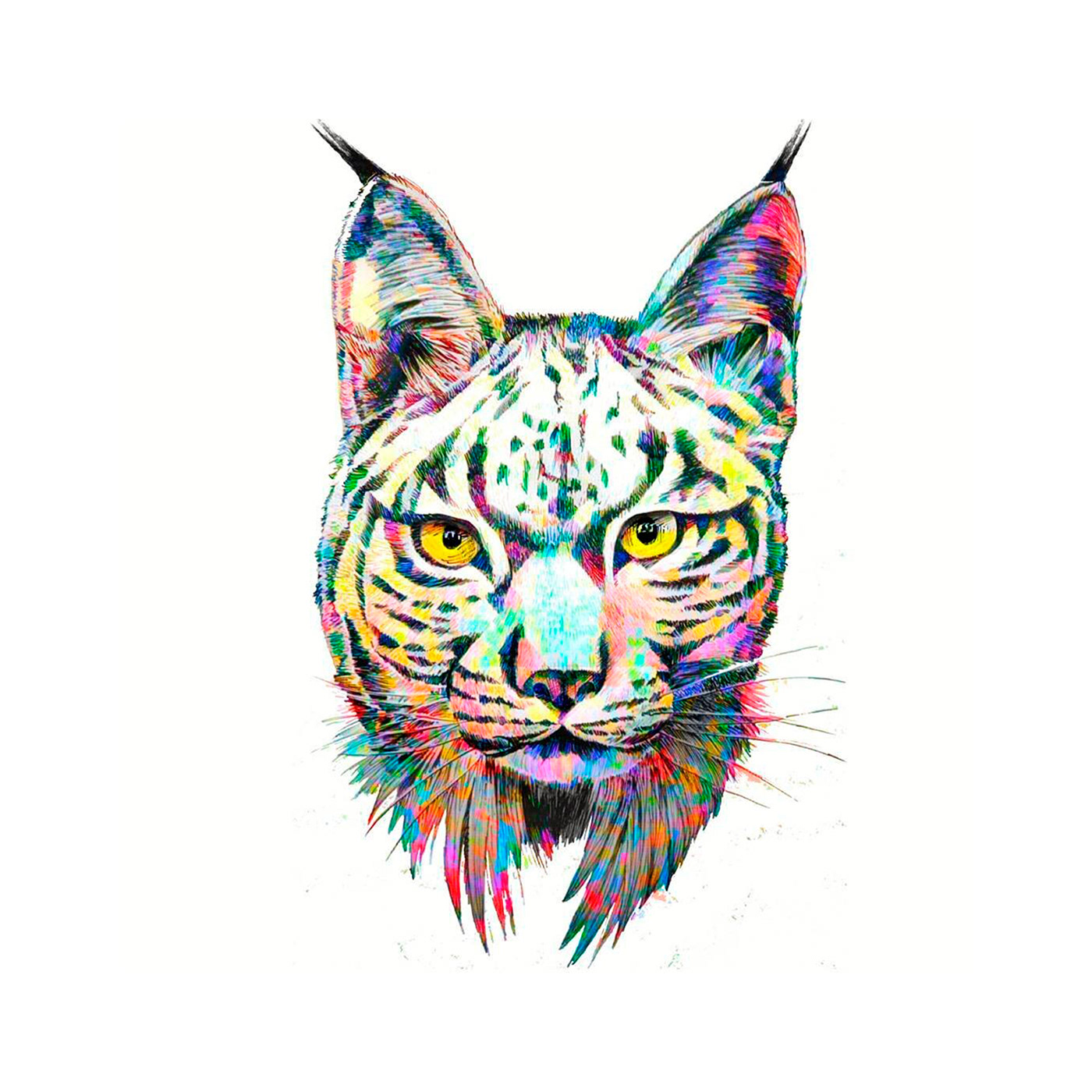 ILLUSTRATION  art color animal lynx Cat mood painting   sketch ink
