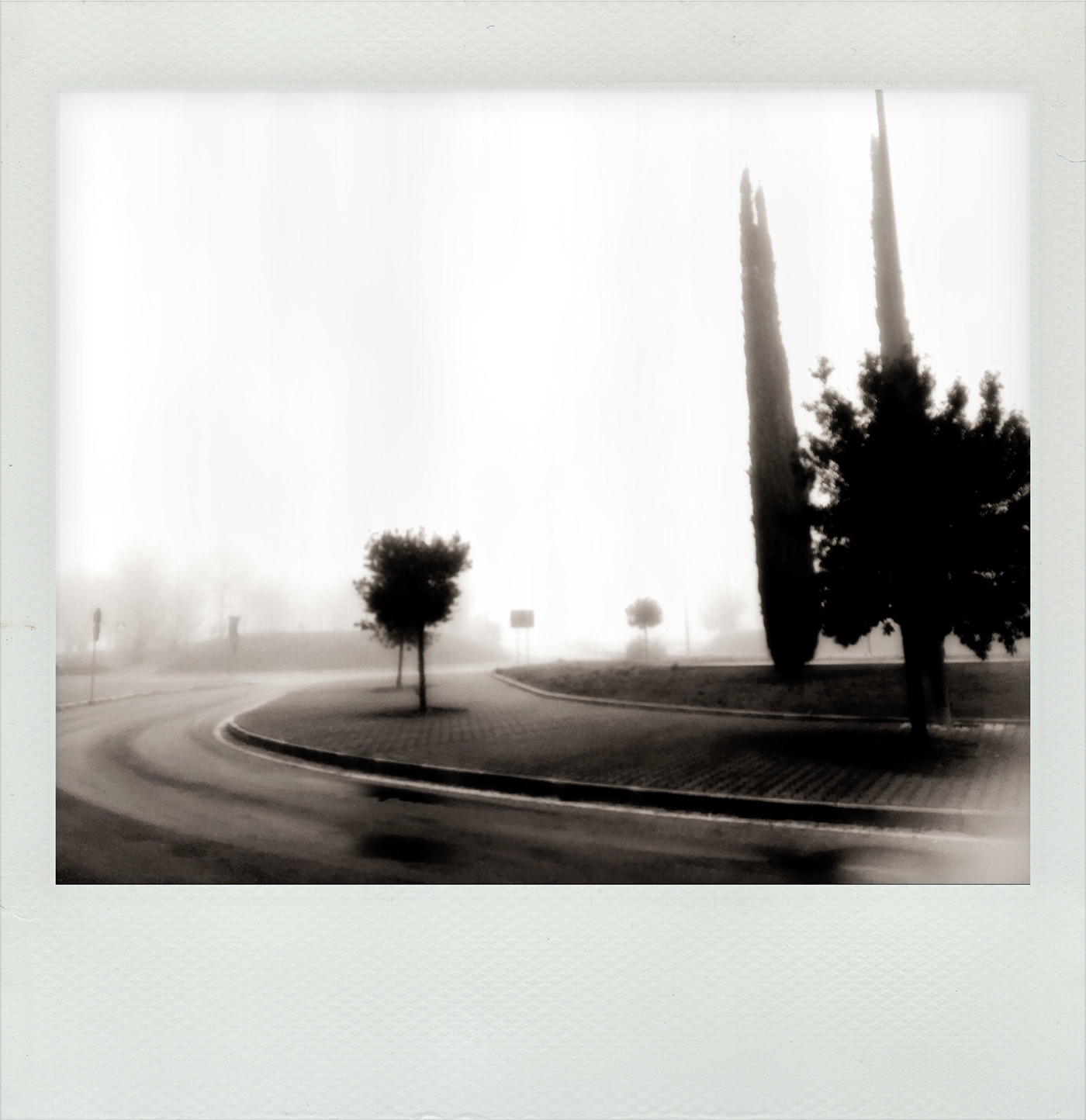 Landscape black and white POLAROID fog Claudia Ioan Photographic Project outdoors