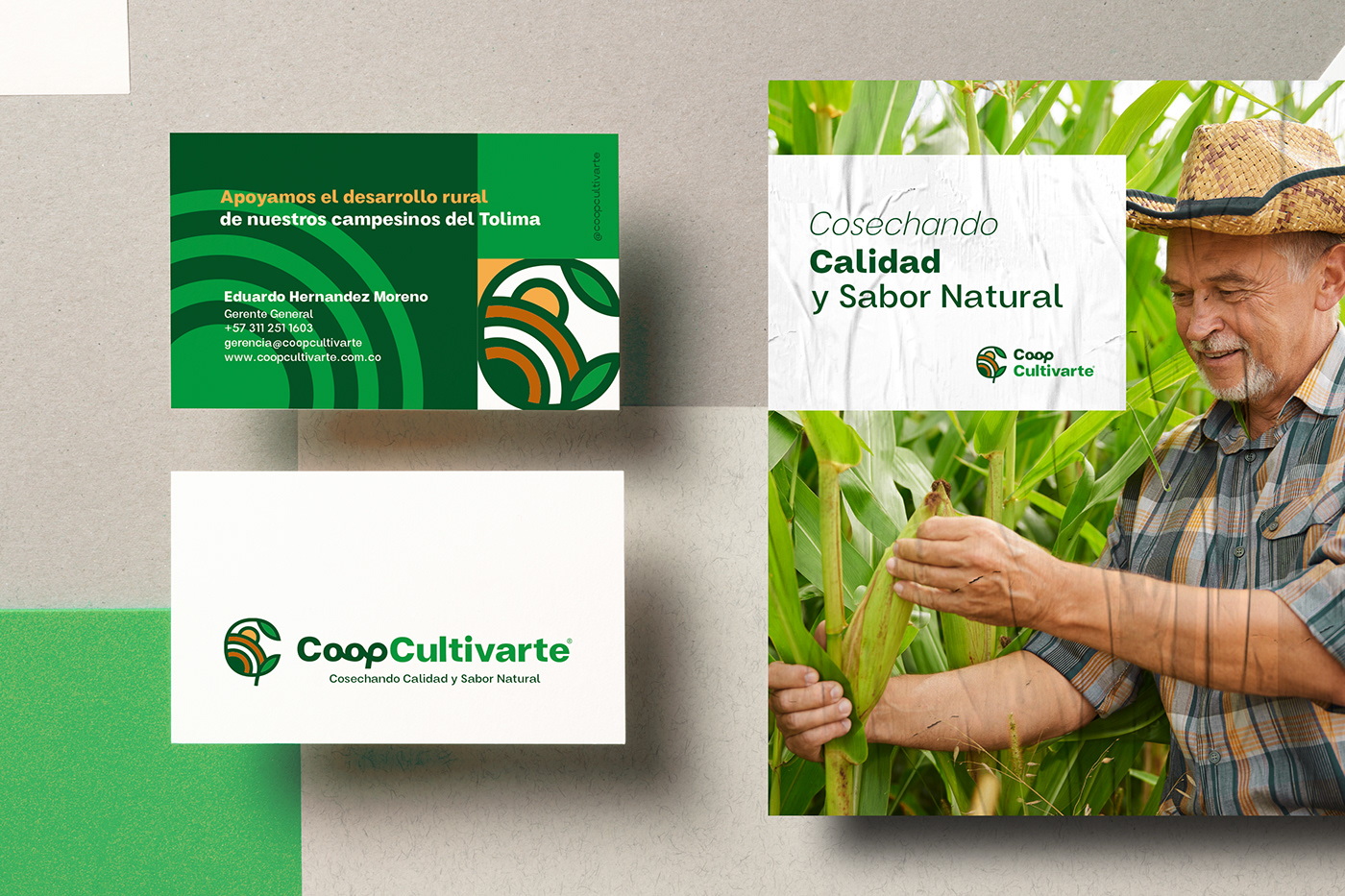 agricola Behance brand identity branding  Cooperativa graphicdesigner Logo Design marca visualbranding