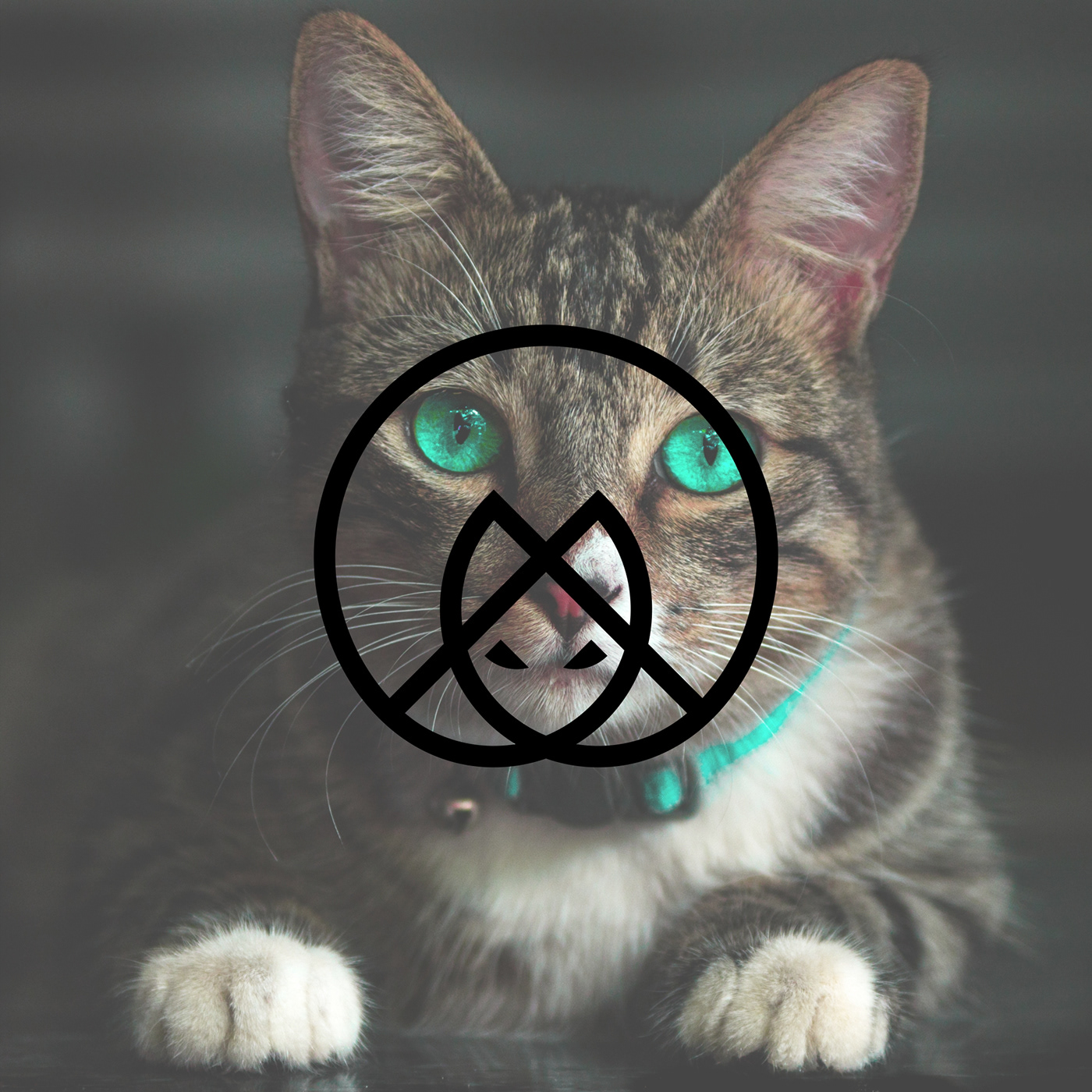 animal Cat circle line logo minimalist modern simple