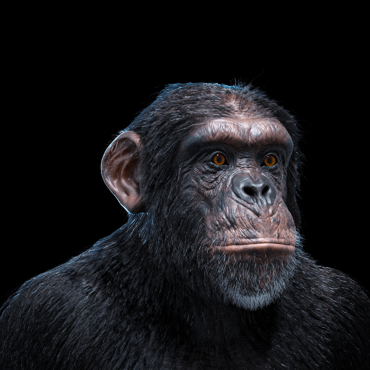 3D animals CGI Maya modeling Nature portrait Render visualization