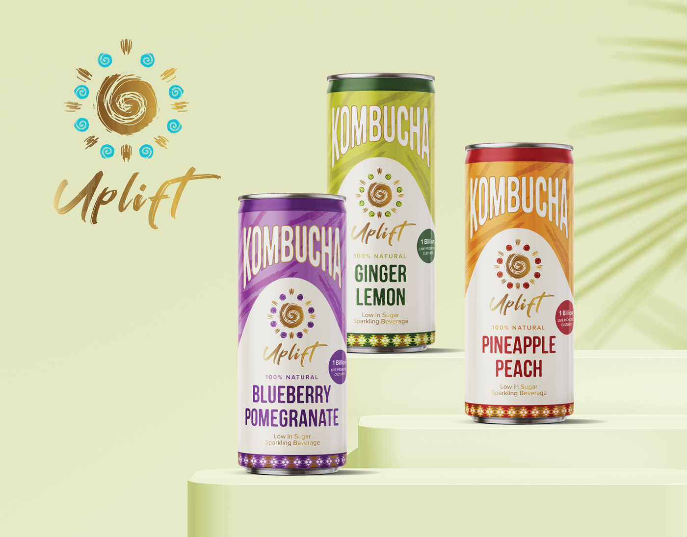 branding  kombucha label design packaging design south africa