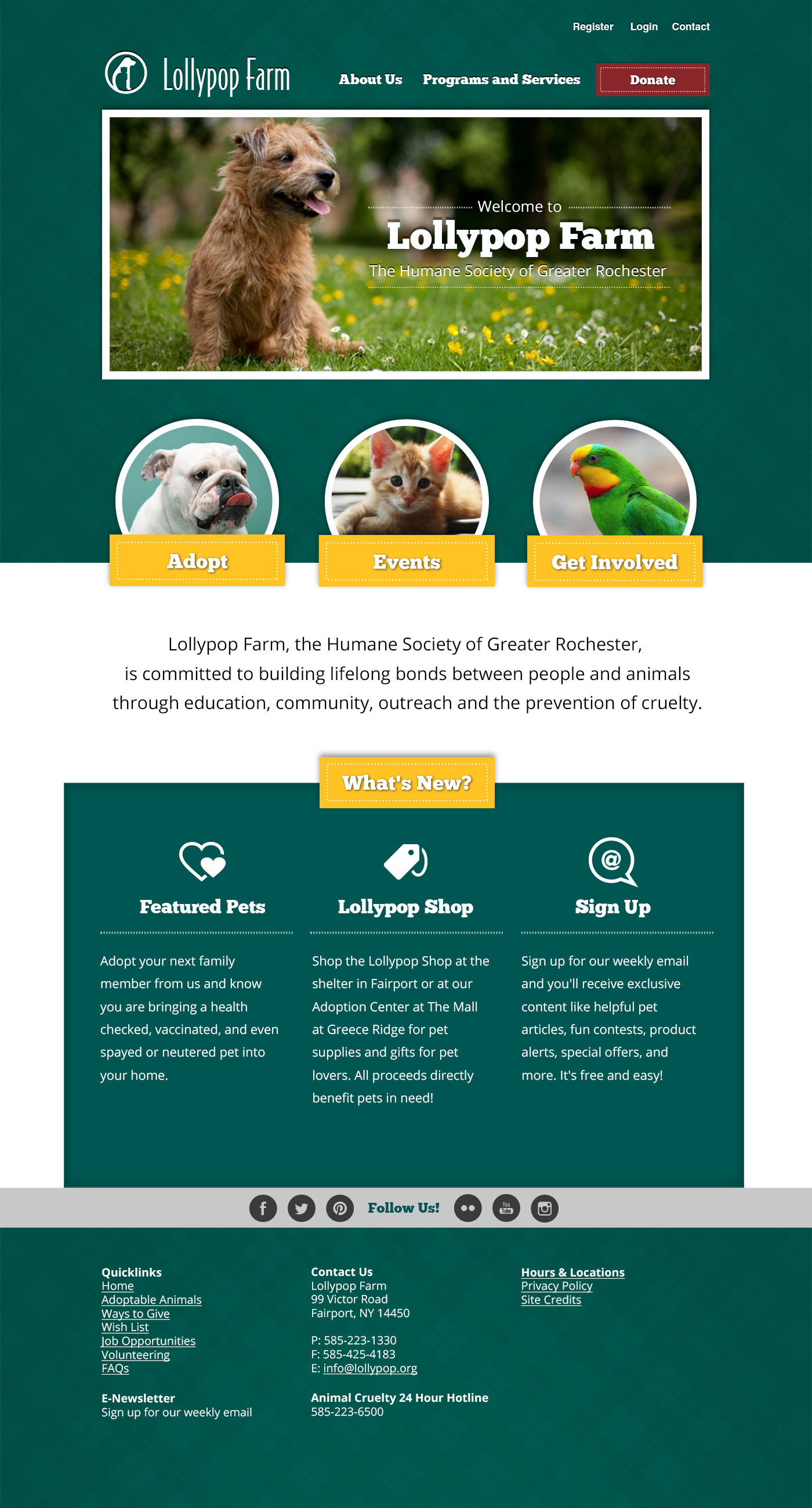 Web homepage animal shelter redesign web page Website