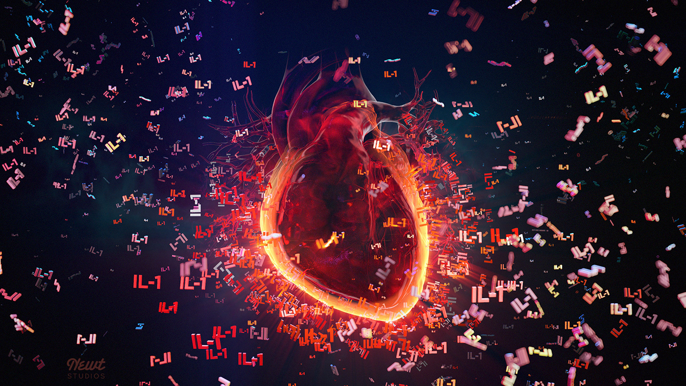 anatomy heart heartanatomy heartanimation heartbeat HeartDisease Humanheart medicalanimation scienceanimation sciencevideo