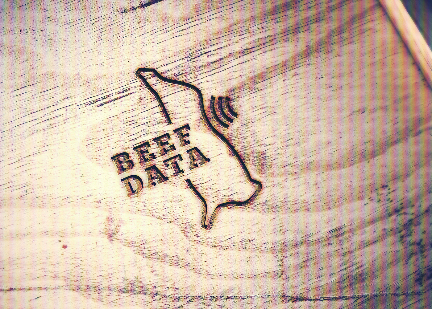 animals beef brand Carcass design logo meat paraguay