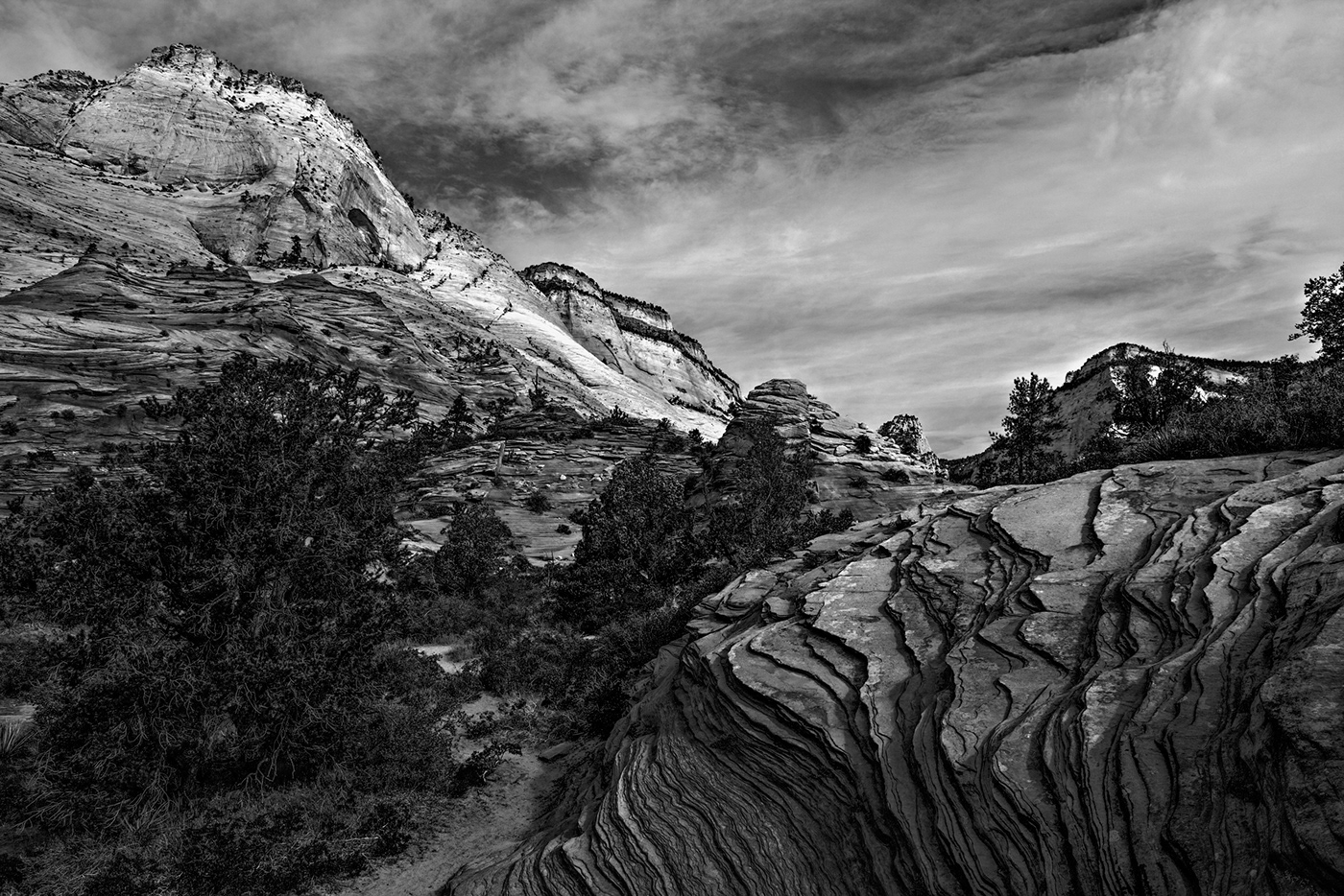 Canyons Landscape mountain peaks Photography  rock stone utah zion zion national park
