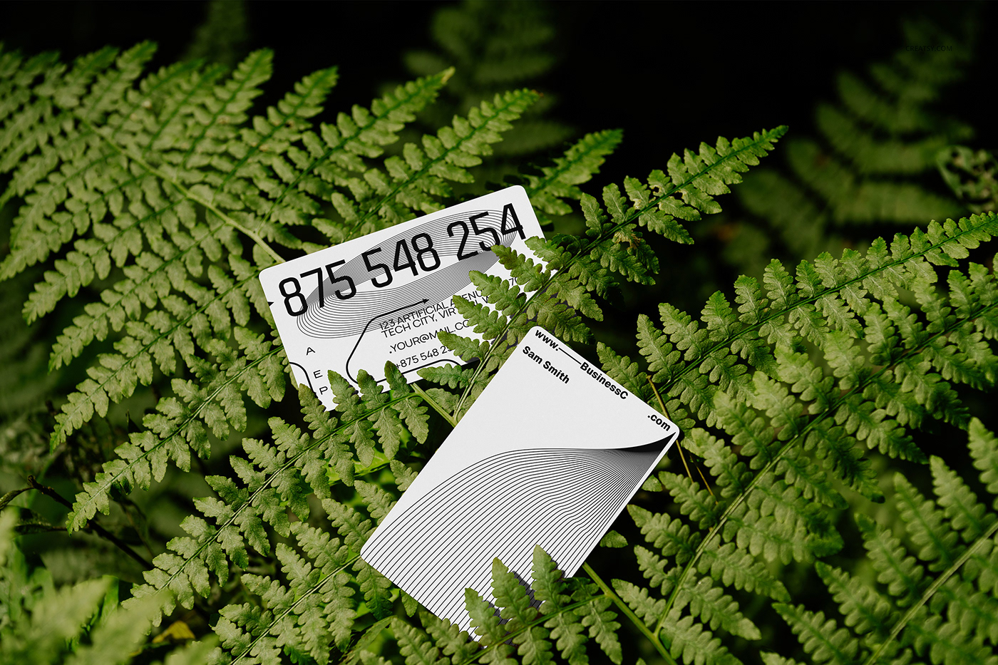 mock-up Mockup mockups Nature creatsy jungle forest leaves cards BCARD