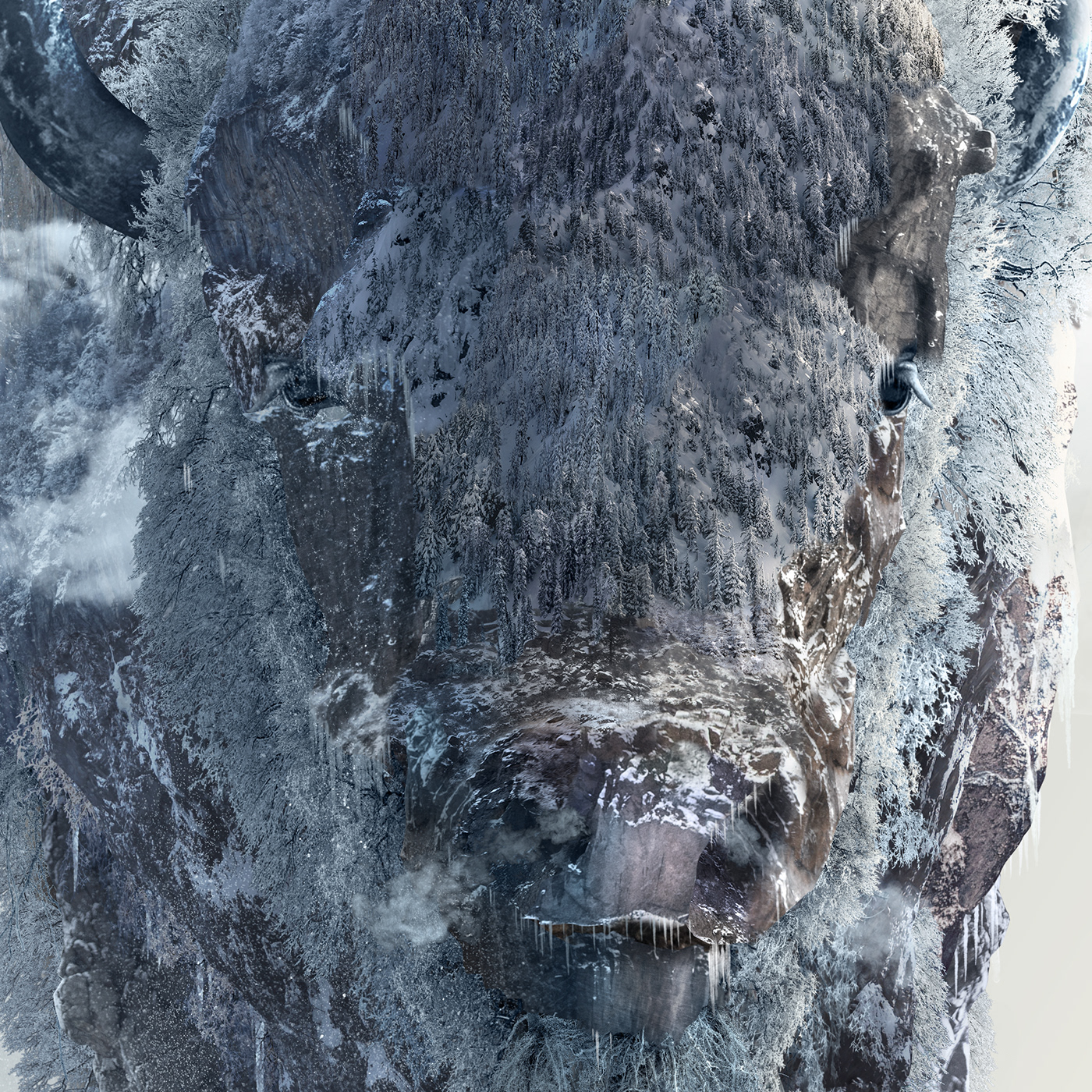 Buffalo bison animal snow mountain Nature God Landscape earth Tree 