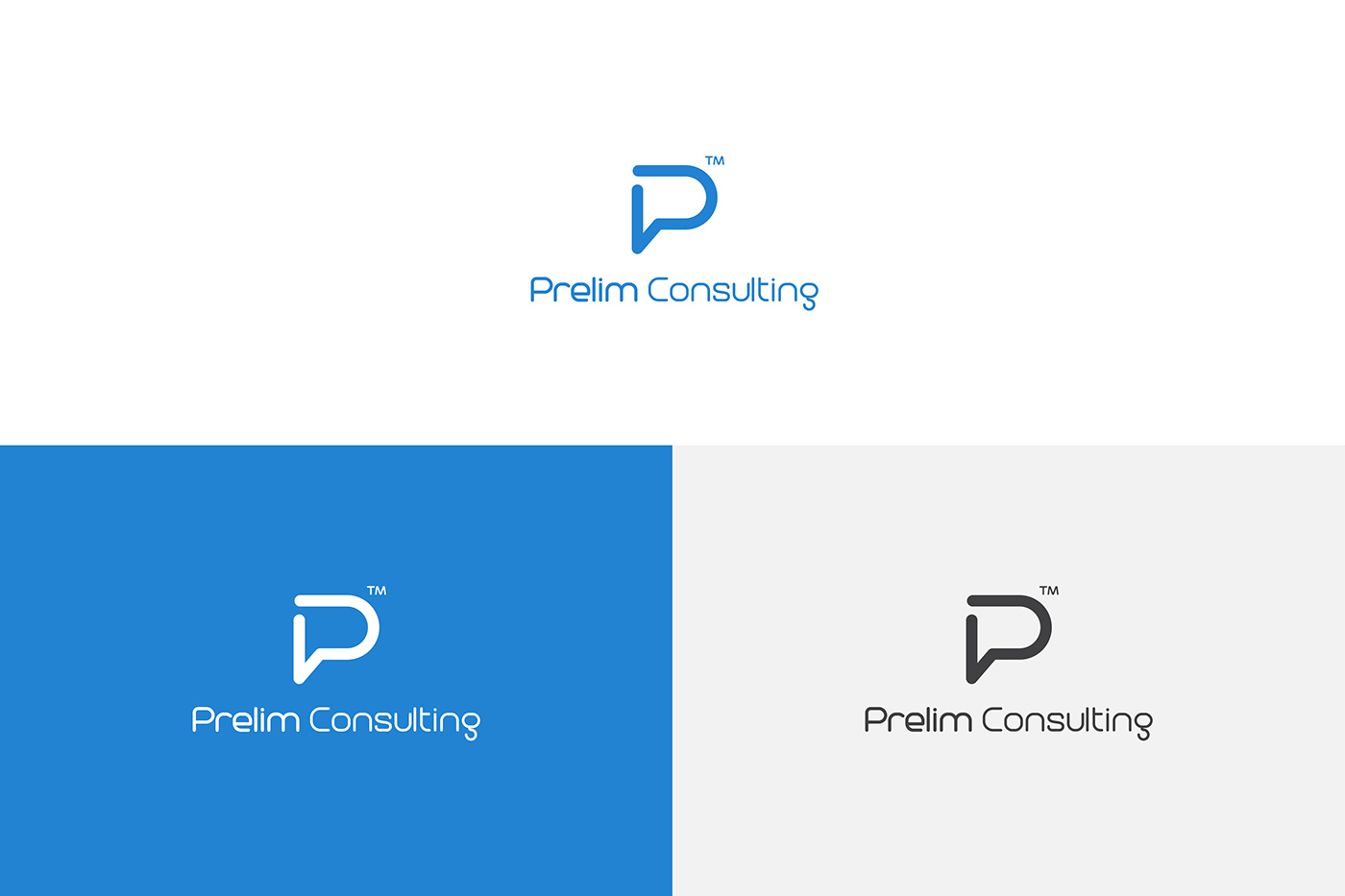 prelim logo Consulting design logos branding  brand Icon graphic design  ILLUSTRATION 